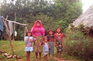 Kuna family, Paya